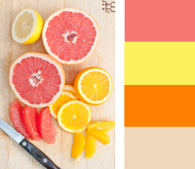 Becky Bedbug Colour Palettes Citrus