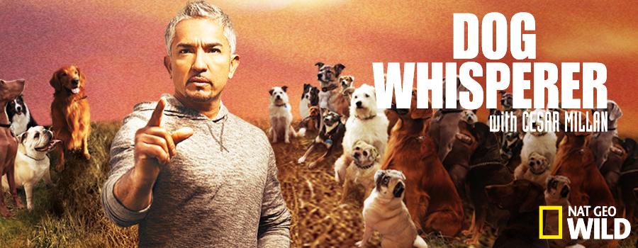 Dog+Whisperer+with+Cesar+Millan+Nat+Geo.