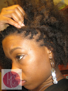How To Invisible Braids On Natural Hair Reign Elle