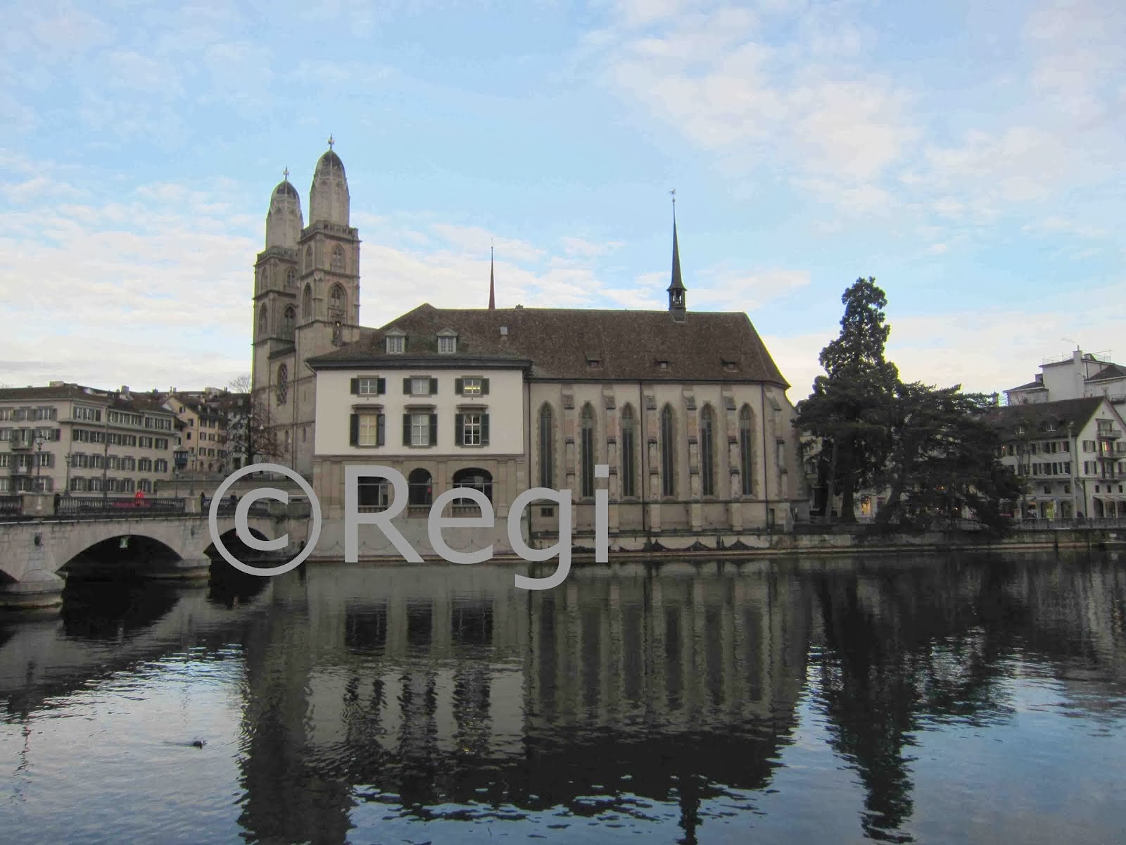 Wasserkirche und Grossmünster