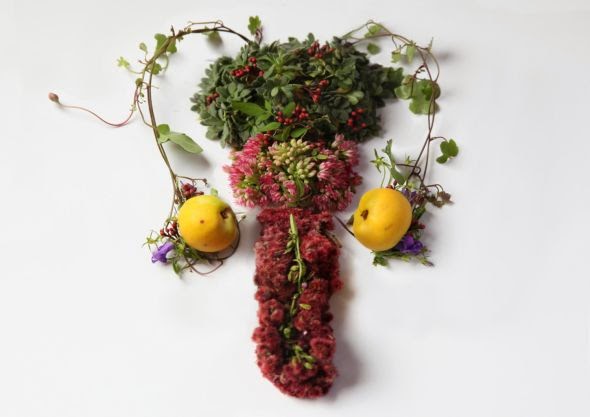 Camila Sitarama Carlow sculpture photography plants flowers arranged human body organs Testicles Camila Sitarama Carlow sculpture photography plants flowers arranged human body organs Testicles