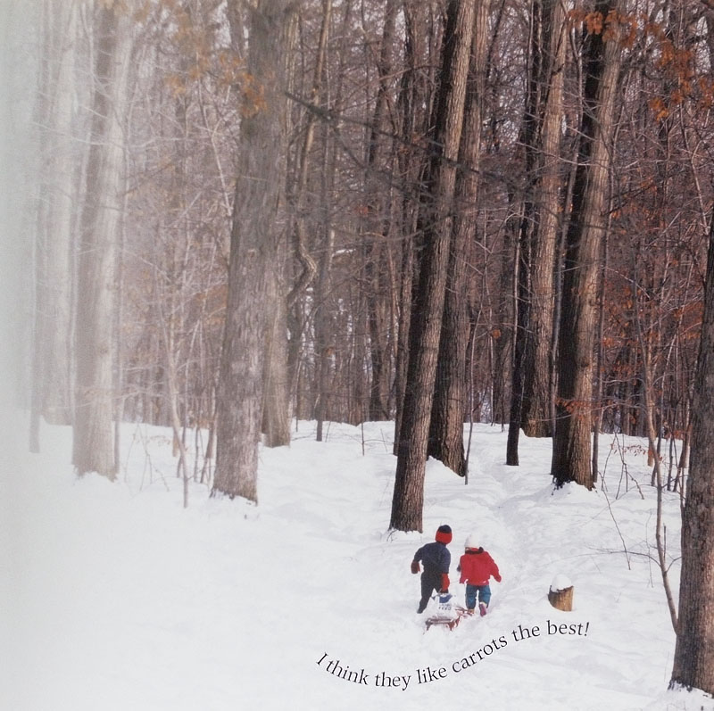 download the stranger in the woods for free download the stranger in the woods for free