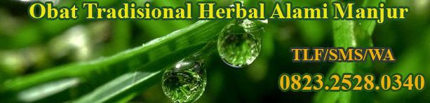 Obat Sipilis Tradisional Herbal