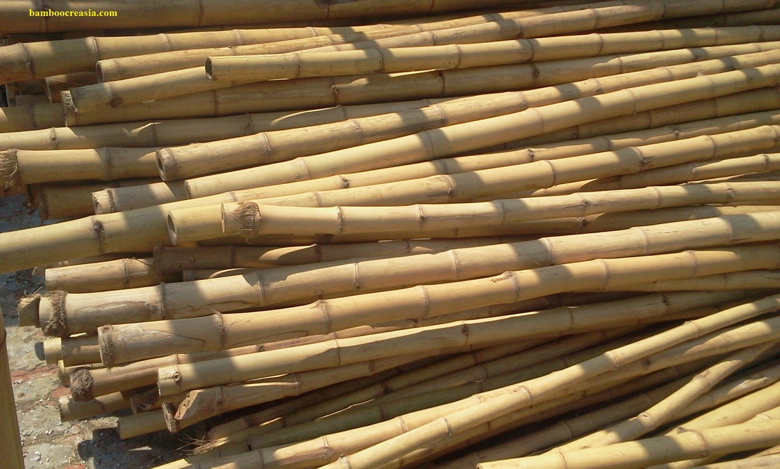 Quality bamboo and asian thatch bo pole Quality bamboo and asian thatch bo pole