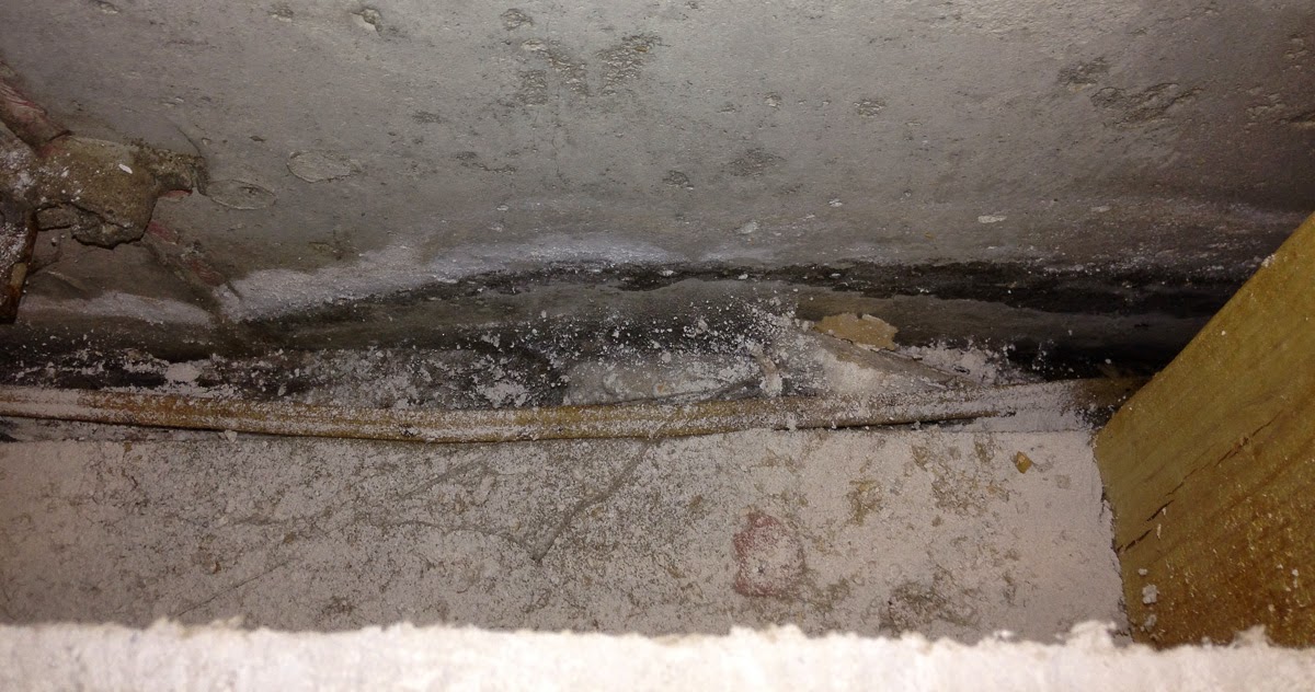 The Fixit Blog Sorting Things Out Indoor Air Quality Project Part 2