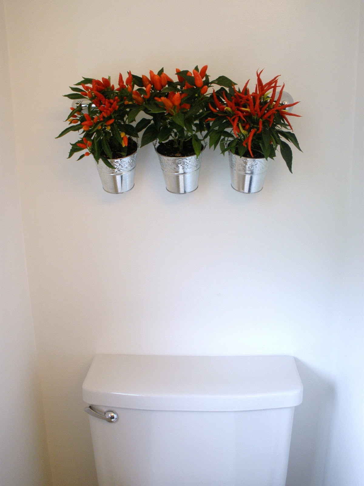 Giveaway New Uses For Bathroom Hardware