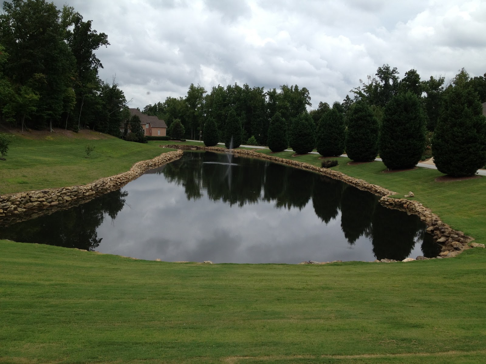 koi-pond-builders-greenville-sc-3.jpg