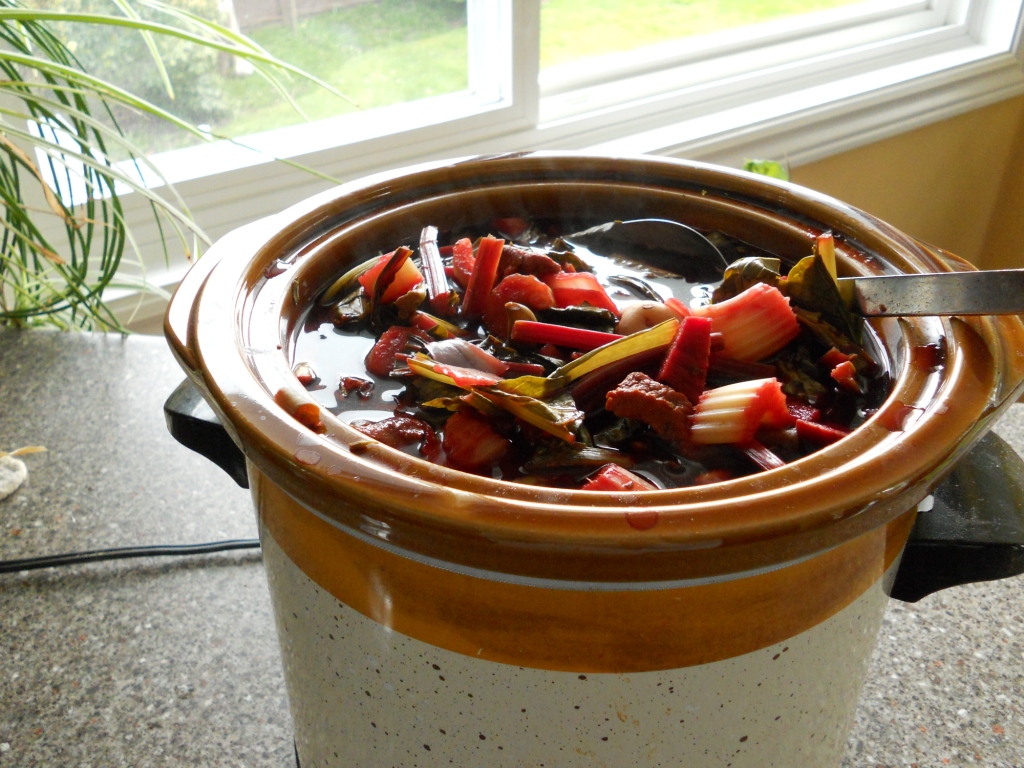 Snacking Squirrel Crock Pot Bison Potato Beet Stew in Miso Broth