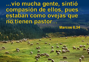 Resultado de imagen de Compasión - Marcos 6 - 34