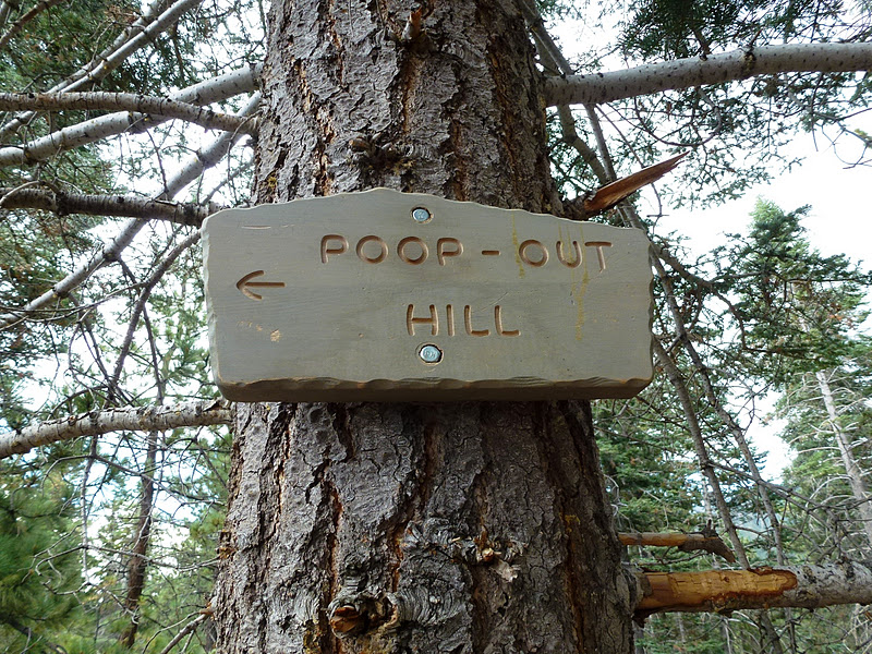 Brian and Ashley's Hiking Blog! Hiking PoopOut Hill (San Bernardino