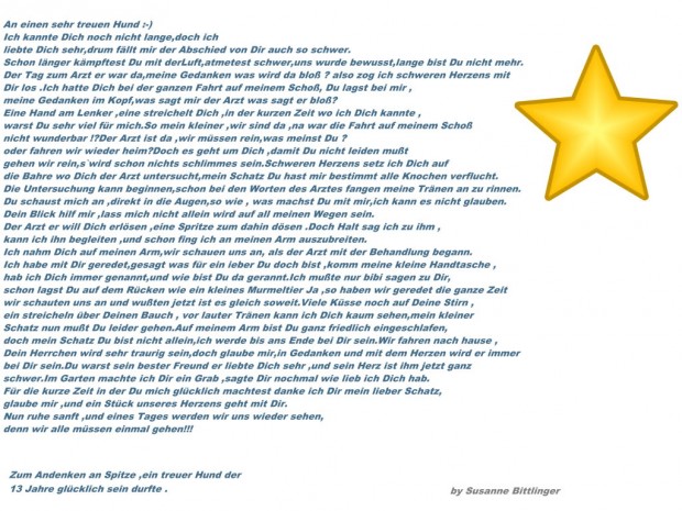 Susa S Blog Gedichte Beispiele