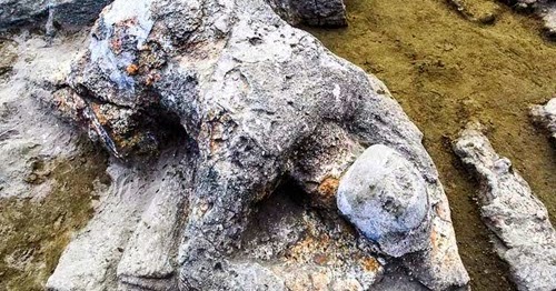 Ringkasan Cerita Malin Kundang