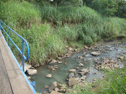 Ponte para onde o Riberão vai