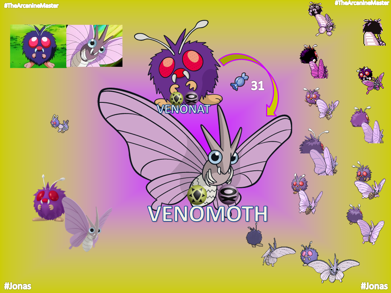 venomoth evolution chart