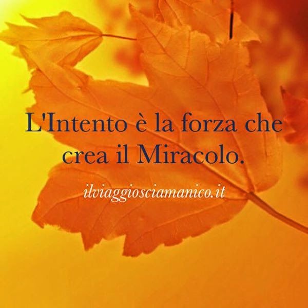 Il Viaggio Sciamanico Pratiche Spirituali Frase Sciamanica