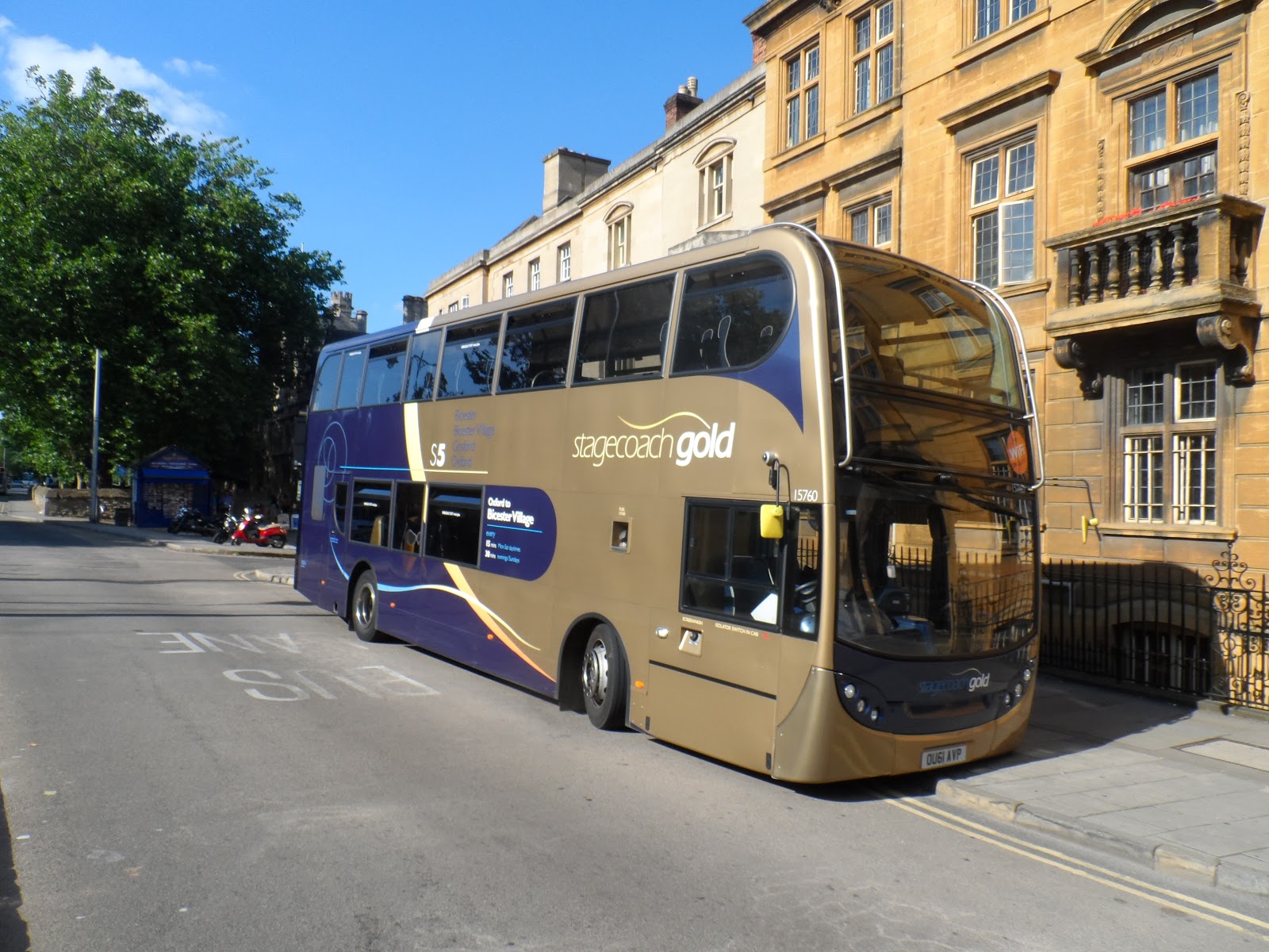 gold bus