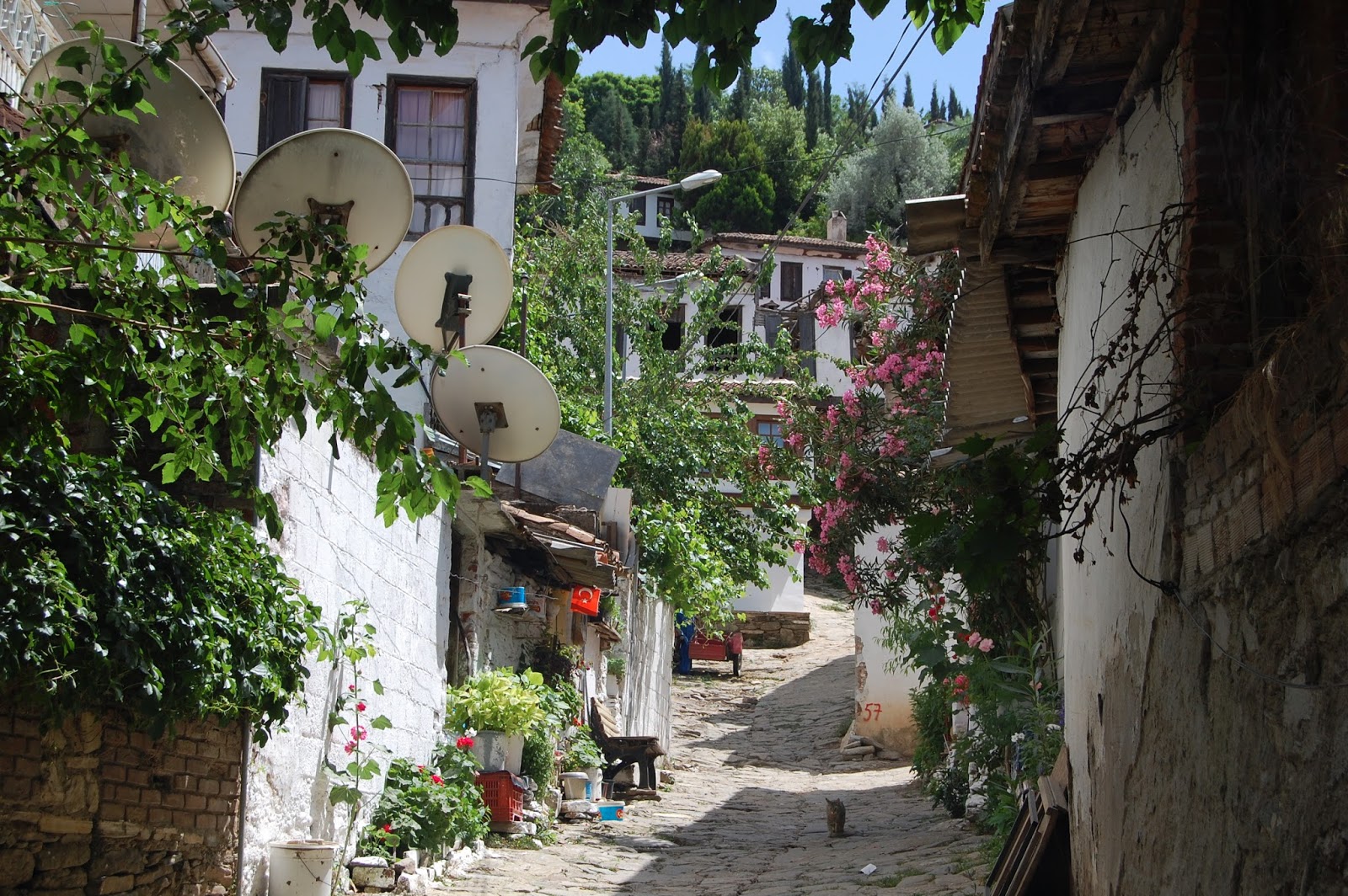 Gezgin Cadi Nesin Matematik Koyu