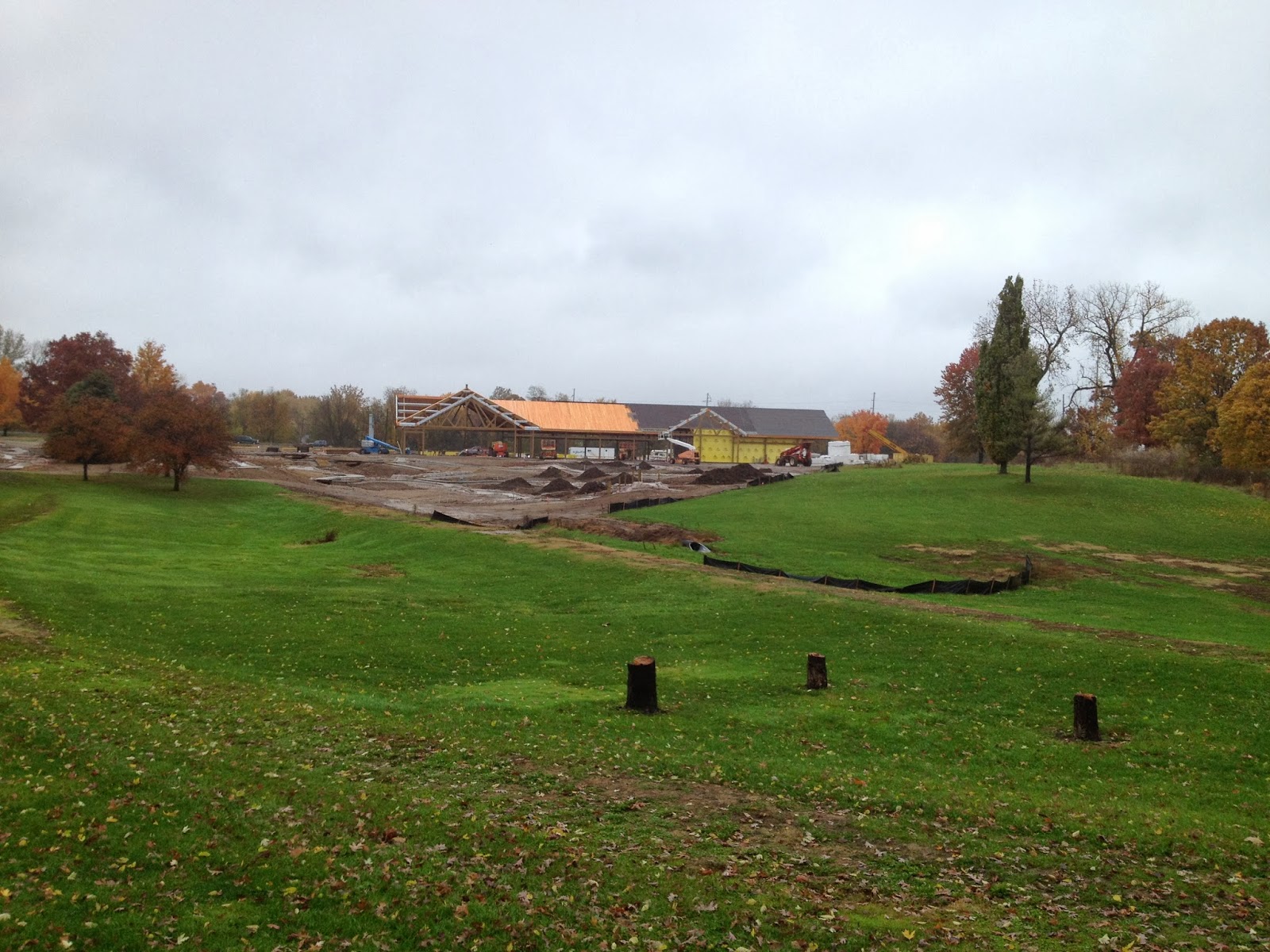 Nelson Park Fall 2013