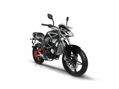 Minerva SACHS Naked 250 Minerva SACHS Naked 250