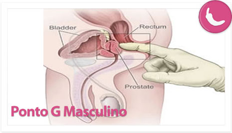 Um orgasmo com muitos significados 10
