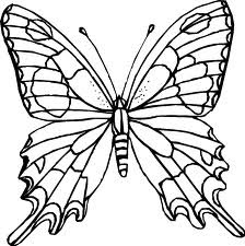 butterfly coloring pages, kids coloring pages