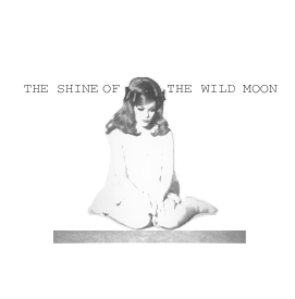 The shine of the wild Moon