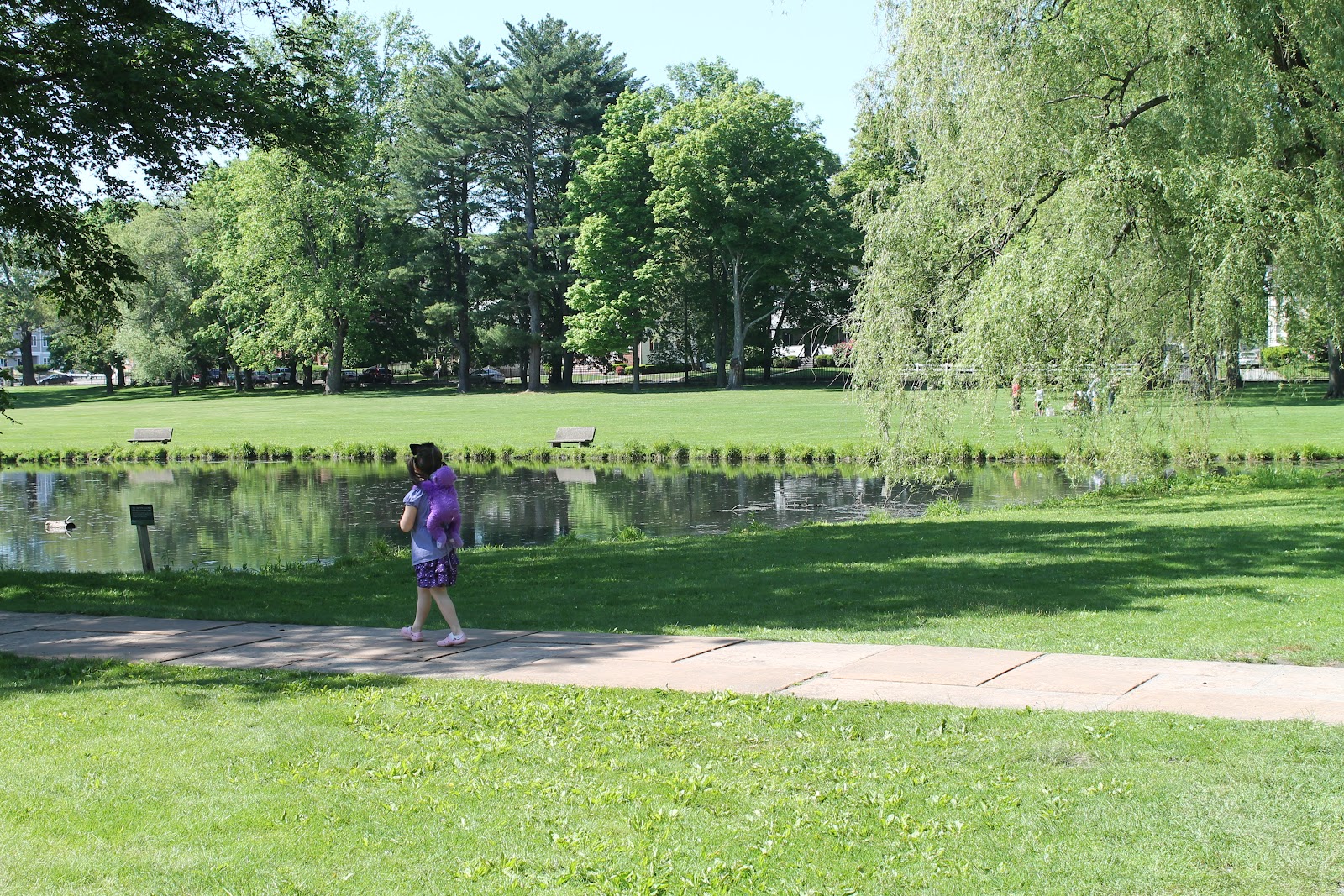 Playground Hopping Bird Park Walpole, MA