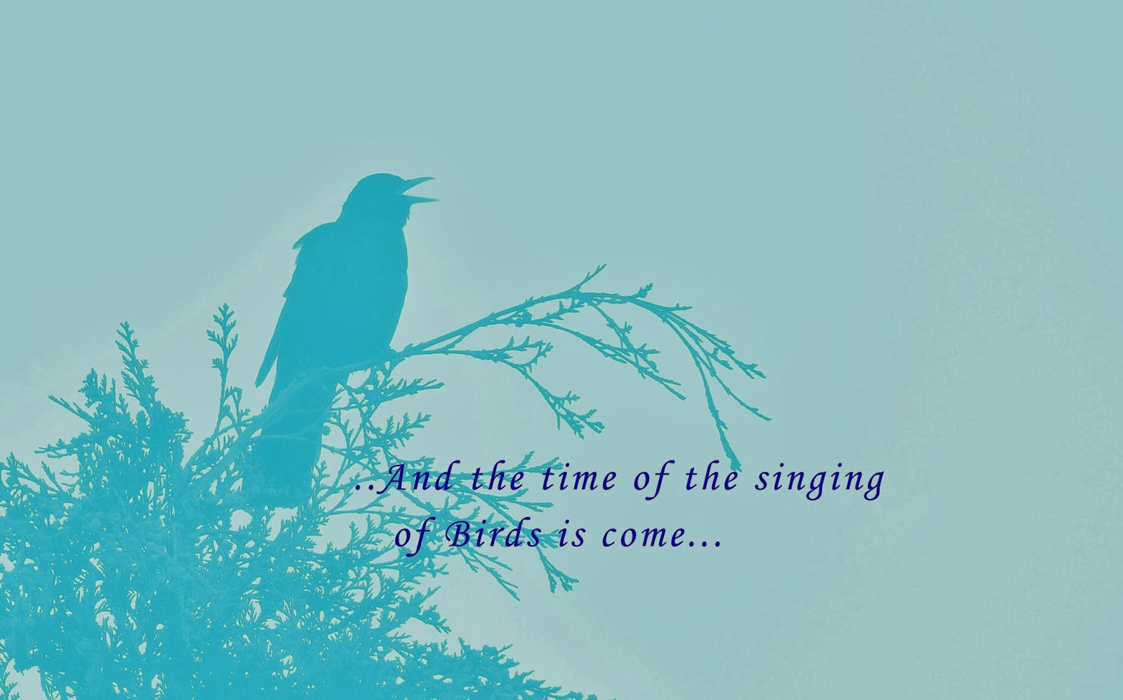 The+time+of+the+singing.jpg