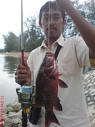 Siakap Merah