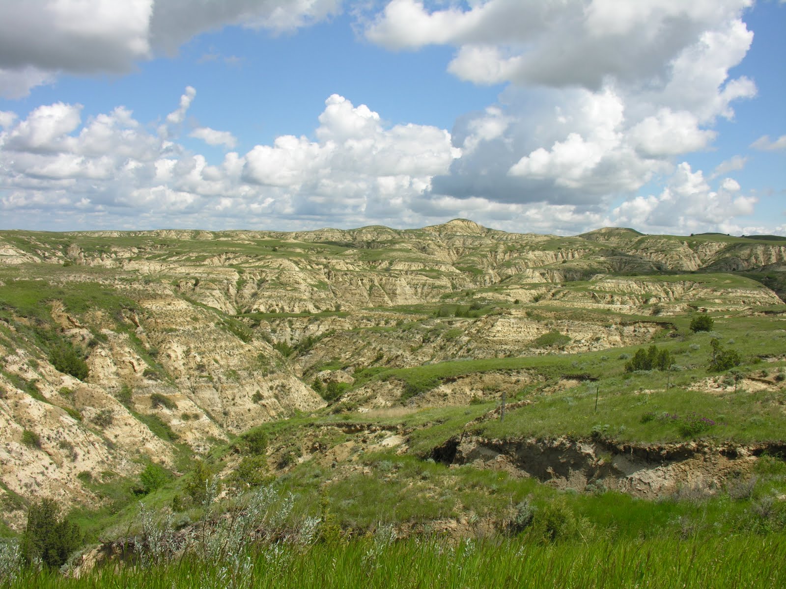 Cal & Rachel Litwiller's Adventures Wolf Point, MT to Glendive, MT