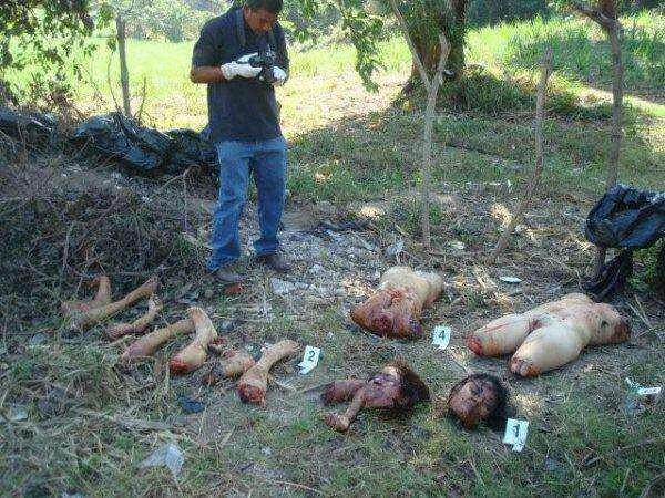 Opinion Female soldiers dead bodies thanks Shine remarkable, Female soldiers dead bodies for