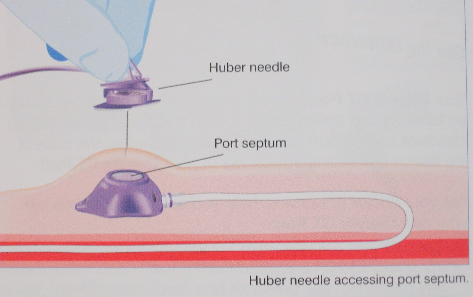 the 'C' word July 2013