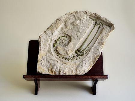 Andreas Scheiger. Letter Fossils