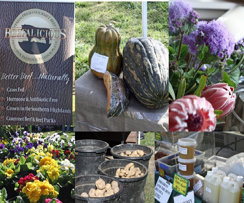 Party of 11 Shopping for a Party of 11 Camden Fresh Produce Markets