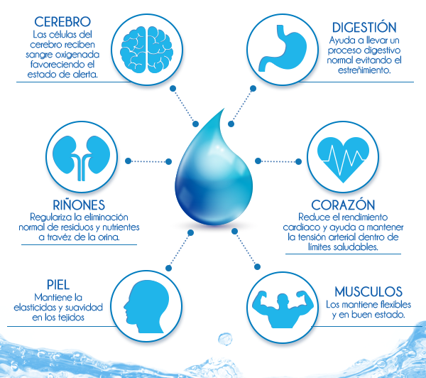 Muchas dieta para quemar la grasa abdominal rapidamente Dudas, dieta para quemar la grasa abdominal rapidamente alubias blancas