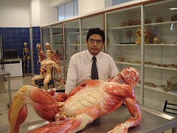 Arte y Anatomía