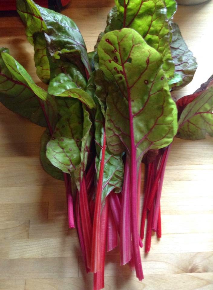 Ruby Chard