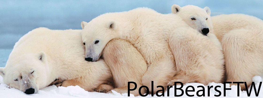Polar Bears FTW