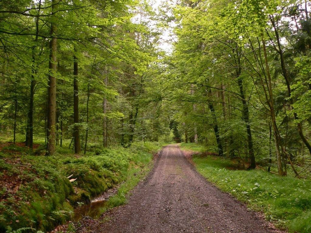 Wetterzentrale Forum Aktuelle Beobachtungen Warnlage Nowcast