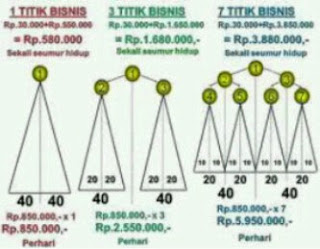 pt melia sehat sejahtera