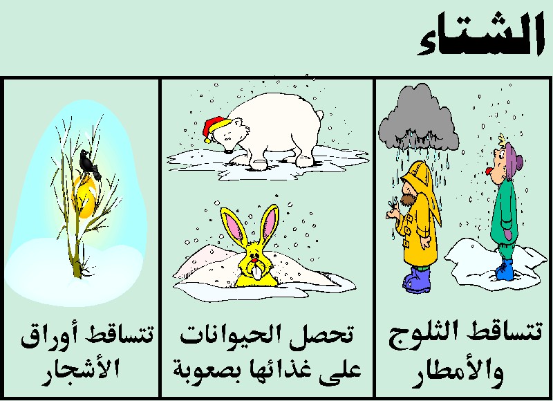 ك ن عالما س اذكر خصائص كل فصل من الفصول الأربعة