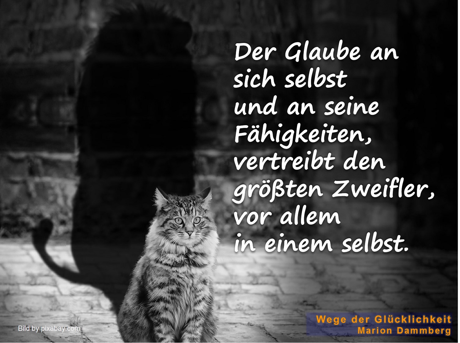 Bewusstseins Wege Der Glucklichkeit Coaching Selbstzweifel