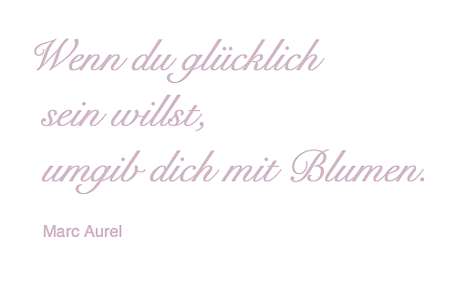 Unterwegs Mit Der Bahn Oder Die Hoffnung Stirbt Zuletzt