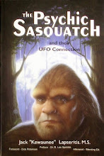 Researcher claims ‘Sasquatch’ are advanced beings with UFO connections