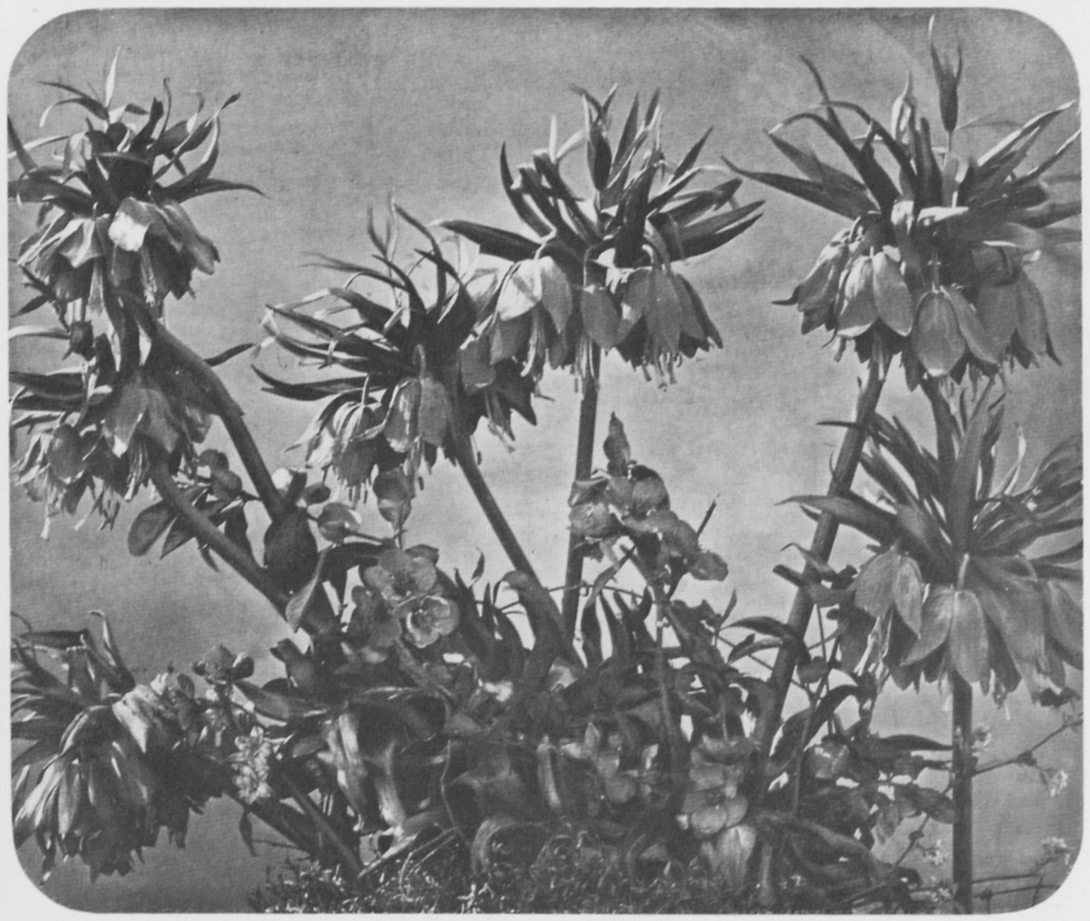Beasley S Floral Cocoa Beach Fl Beasley S Floral Cocoa Beach Fl