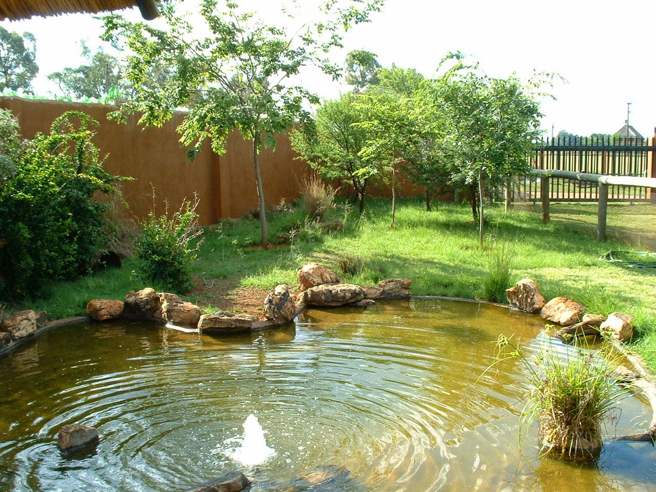 Love Joy And Peas Dahlia Marigolds Zinnia Butterfly Bush And