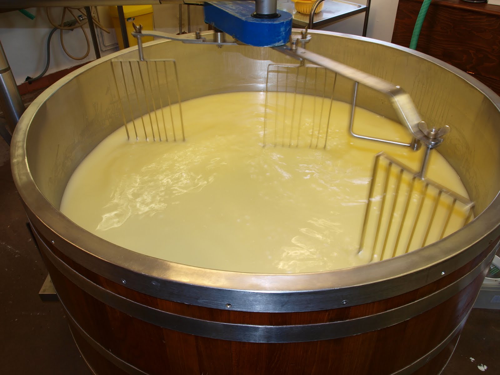 Mark's Veg Plot Monkland cheese