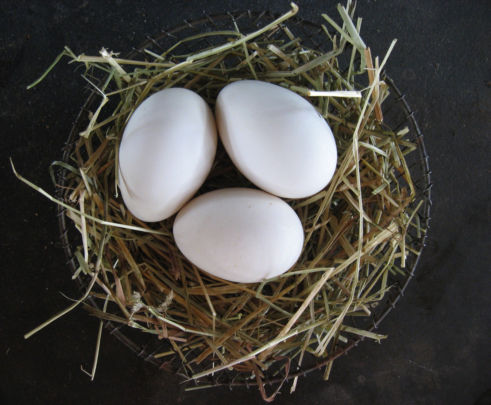 6 Antique Hand Blown Milk Glass Training Eggs with Pontil Marks White