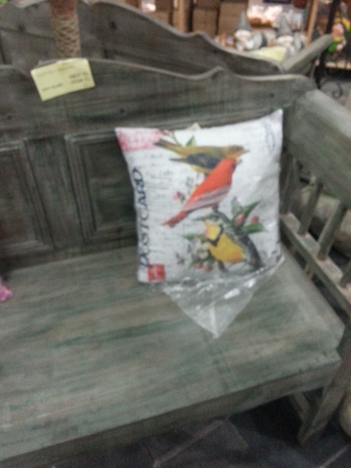 Bircanin Renkli Dunyasi Euro Flora Izmir Gezim