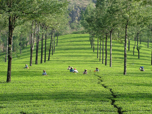 Munnar Hill stations